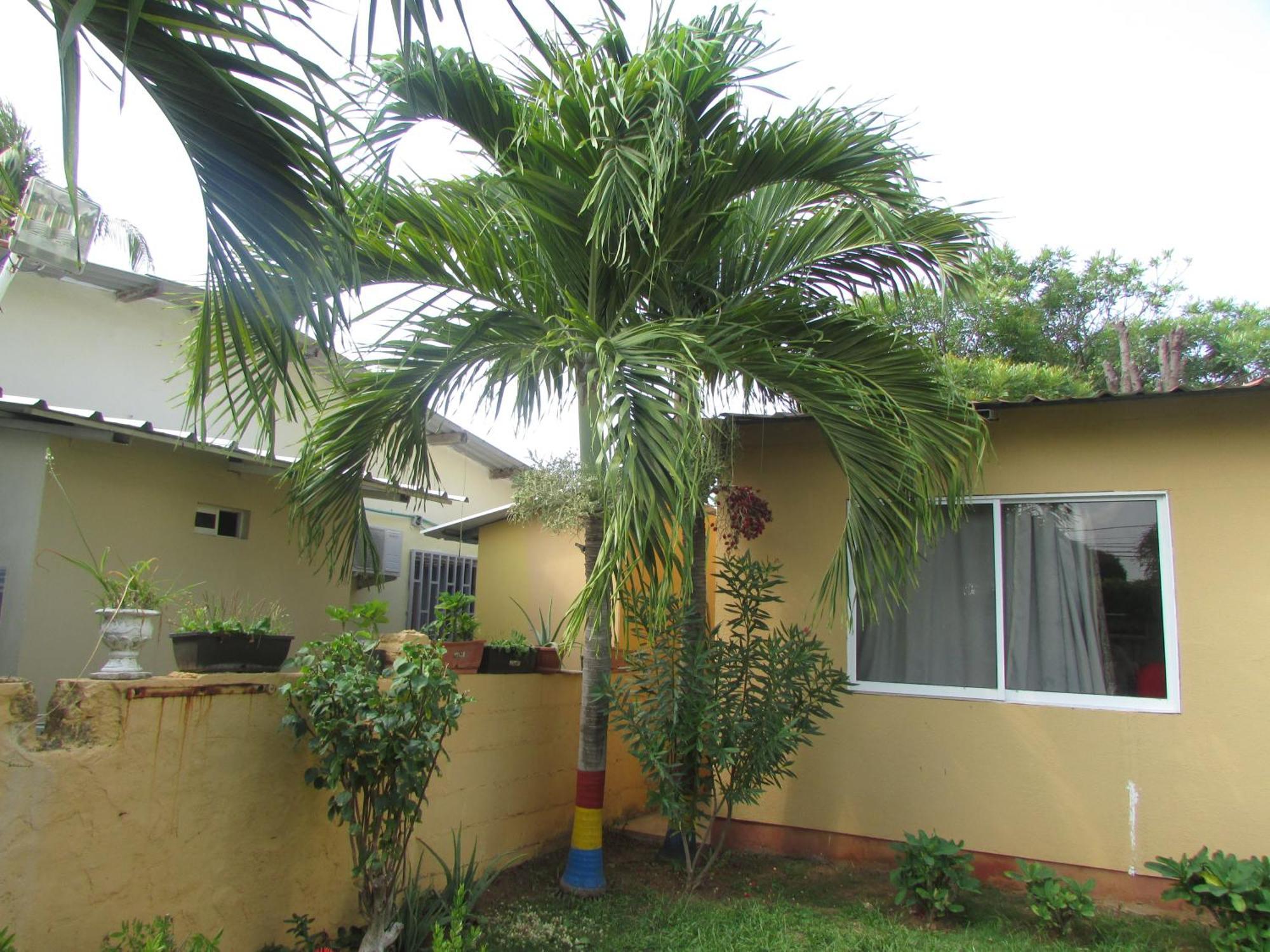 Posada Hostal Miss Marlly San Andrés المظهر الخارجي الصورة